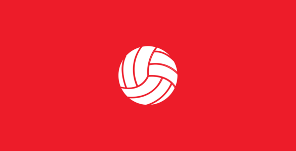 Atelier sportif volley-ball
